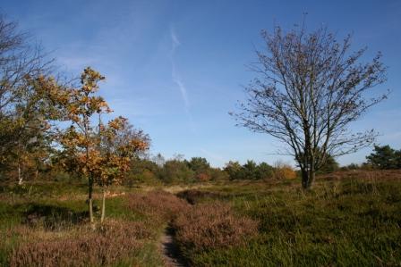 Heide Sahlenburg