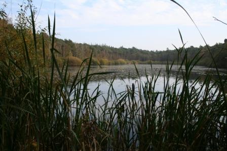 Finkenmoor